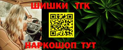 МДПВ Рыбинск