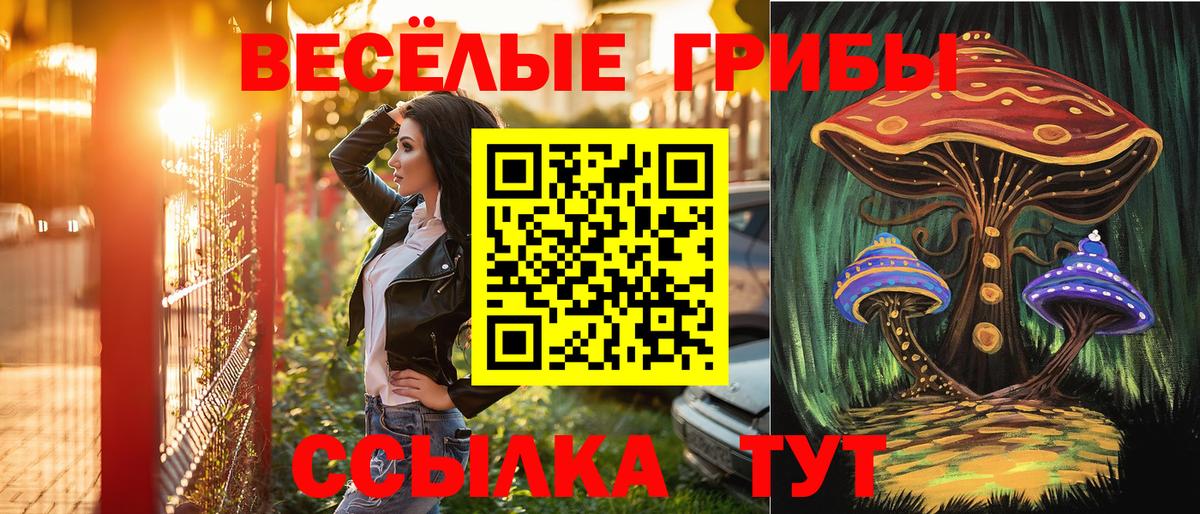 Саров  Псилоцибиновые грибы ЛСД  Галлюциногенные грибы прущие грибы  Вход с VPN 